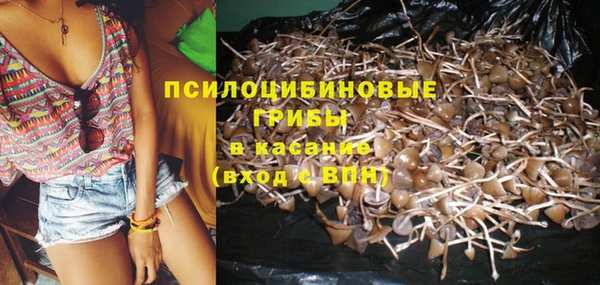 дживик Абаза