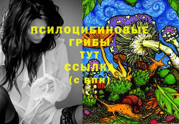 дживик Абаза