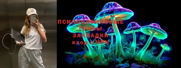 дживик Абаза