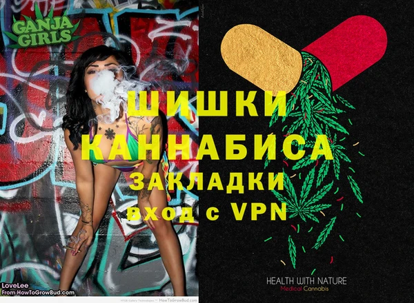 дживик Абаза