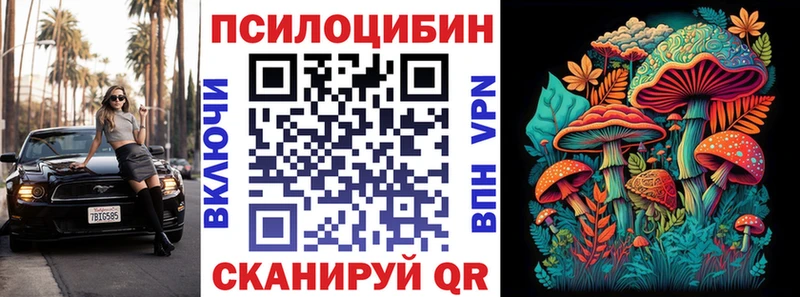 kraken ссылки  Кедровый  Галлюциногенные грибы Magic Shrooms 